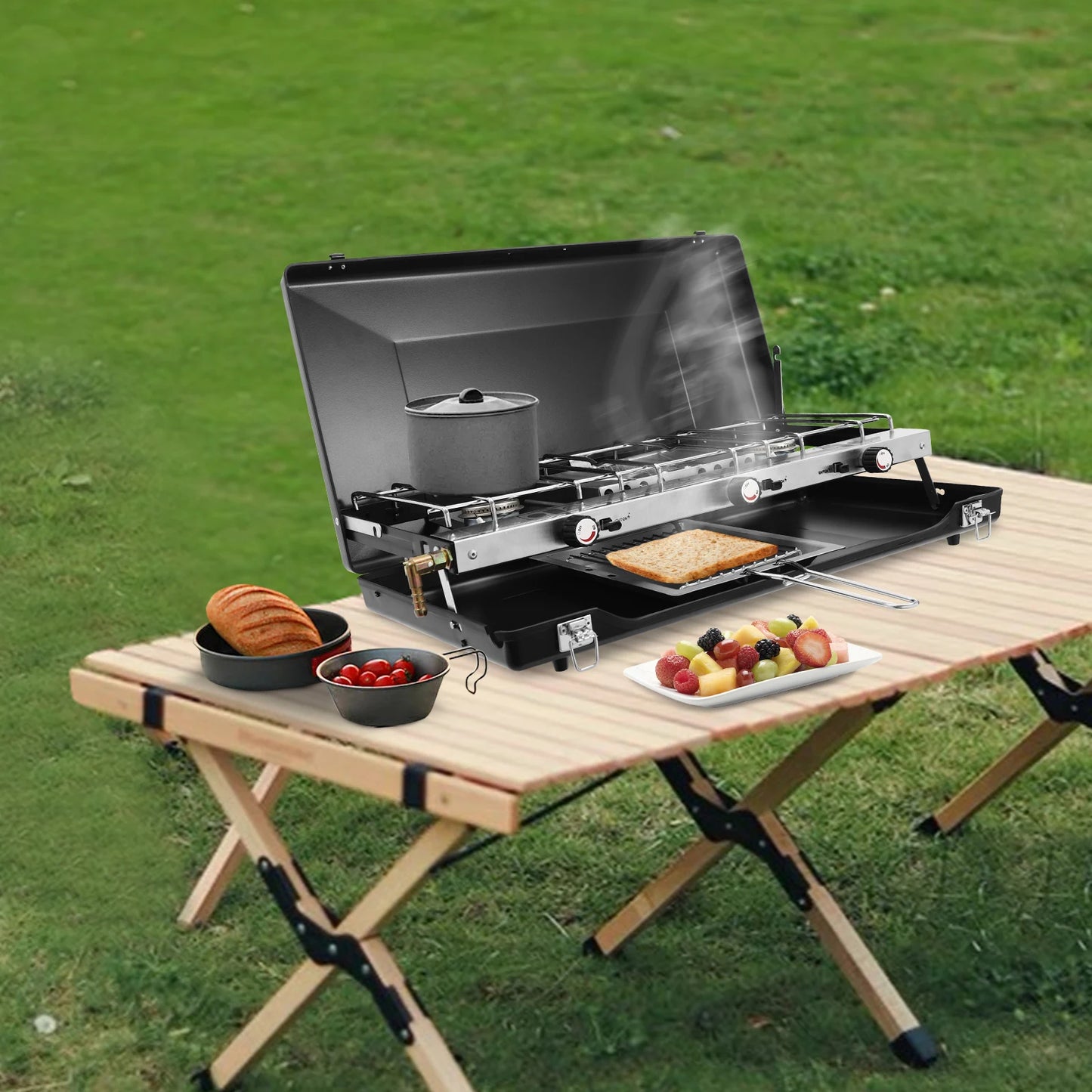 Portable Propane Gas Camping Stove
