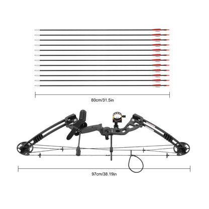 30-55 lbs Compound Bow Adjustable Draw Weight and Length with 3-Pin Sight 12 Arrows Complete Arch Set for Right Hand